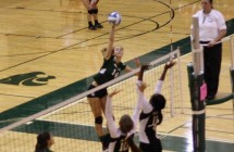 VVolleyball_action4